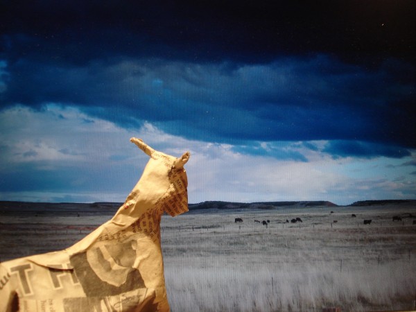 Longing for the Open Range