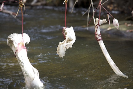 from "Fishing For Our History" Installation